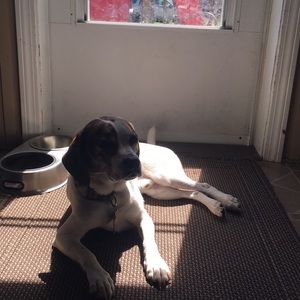 Meet your Posher, Michele